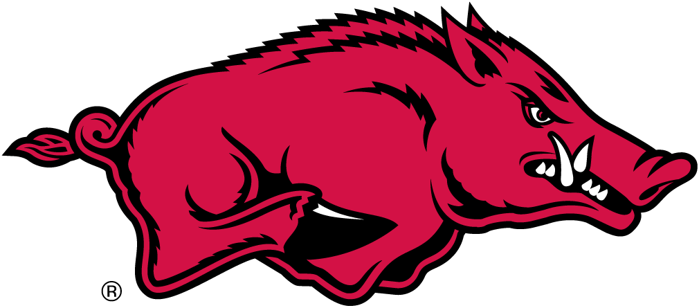 Arkansas Razorbacks 2001-Pres Primary Logo iron on transfers for T-shirts